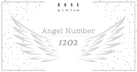 1202 angel number twin flame|1202 Angel Number: Meaning, Significance,。